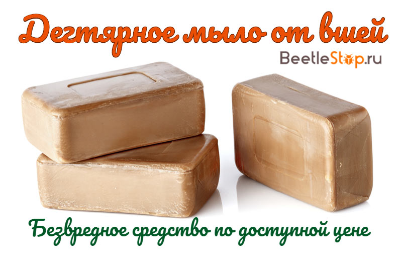 Soap for lice